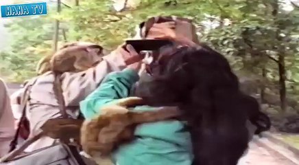 Best Funny Videos Try Not to Laugh - Funny Videos 2015 - Funny Fails of the Week