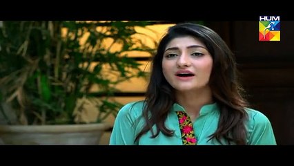 Haya Kay Daman Main Episode 45 on Hum Tv in High Quality 2nd June 2016