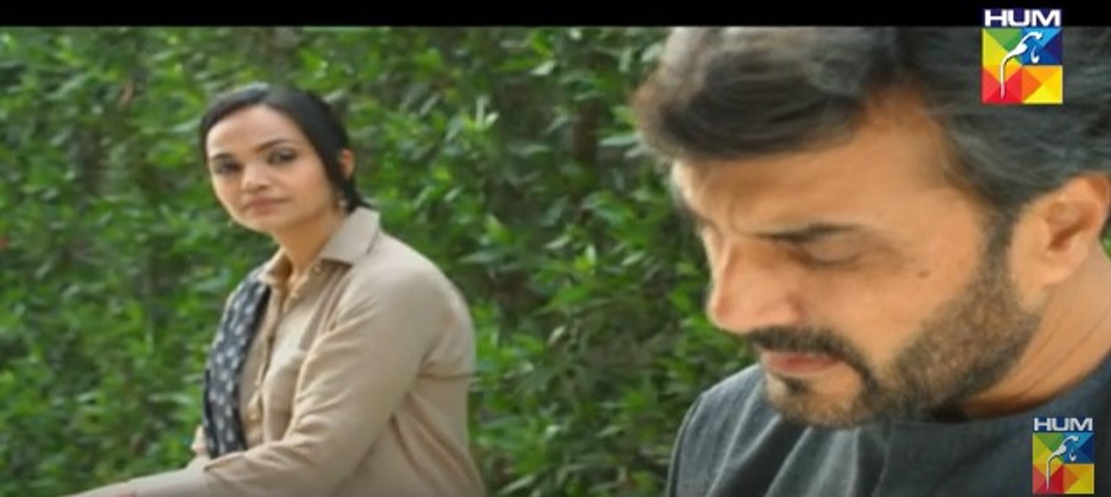 Pakeeza Episode 17 Full HUM TV Drama 2 June 2016