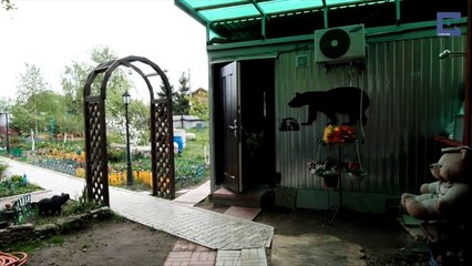 Un couple russe vit avec un ours depuis 23 ans