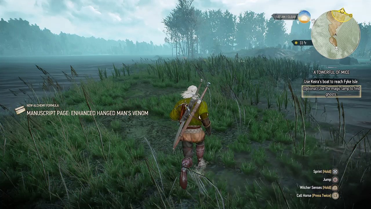 The Witcher 3: Wild Hunt_20160602121125