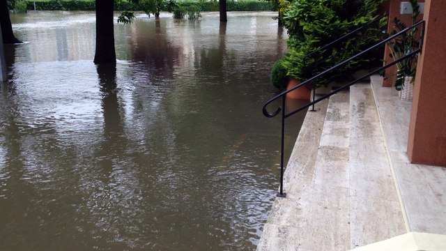 Savigny-sur-Orge. Crue de l'Orge : les inondations du 2 juin 2016