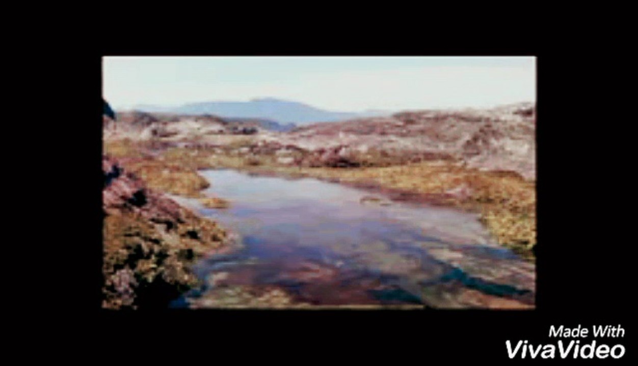 Over the Hedge (1998) Trailer | Comcast On Demand