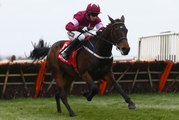 Apple's Jade- Aintree 2016 Betfred Anniversary 4-Y-O Juvenile Hurdle