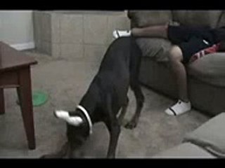 If you watch this 100 times you ll still laugh!! FOUR!!!!