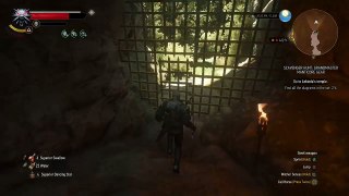 The Witcher 3: Wild Hunt- Loths cave liberated