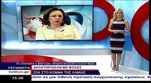 Άγνωστοι έριξαν φόλες στο Κόμμα Λαμίας