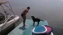 Водные развлечения. Смешные приколы собаки