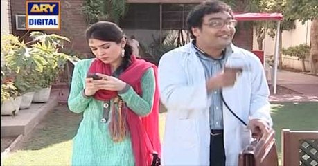 Bulbulay Episode 210 on Ary Digital in High Quality 2nd June 2016