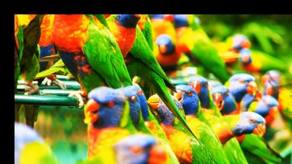 mother-nature-s-colors-avior45