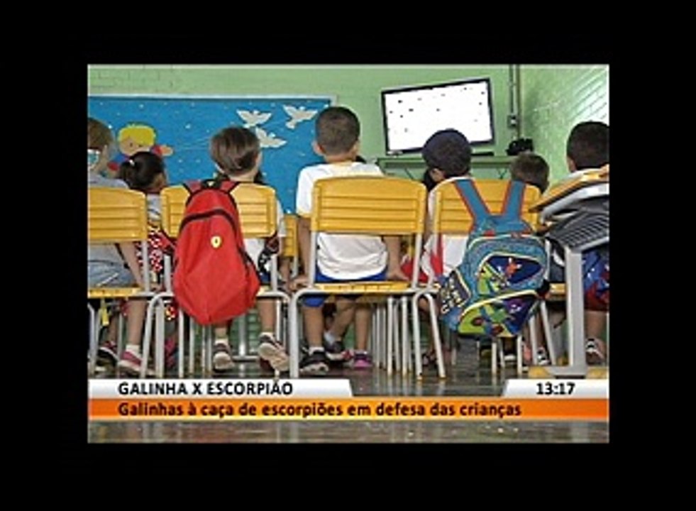 GALINHA X ESCORPIÃO