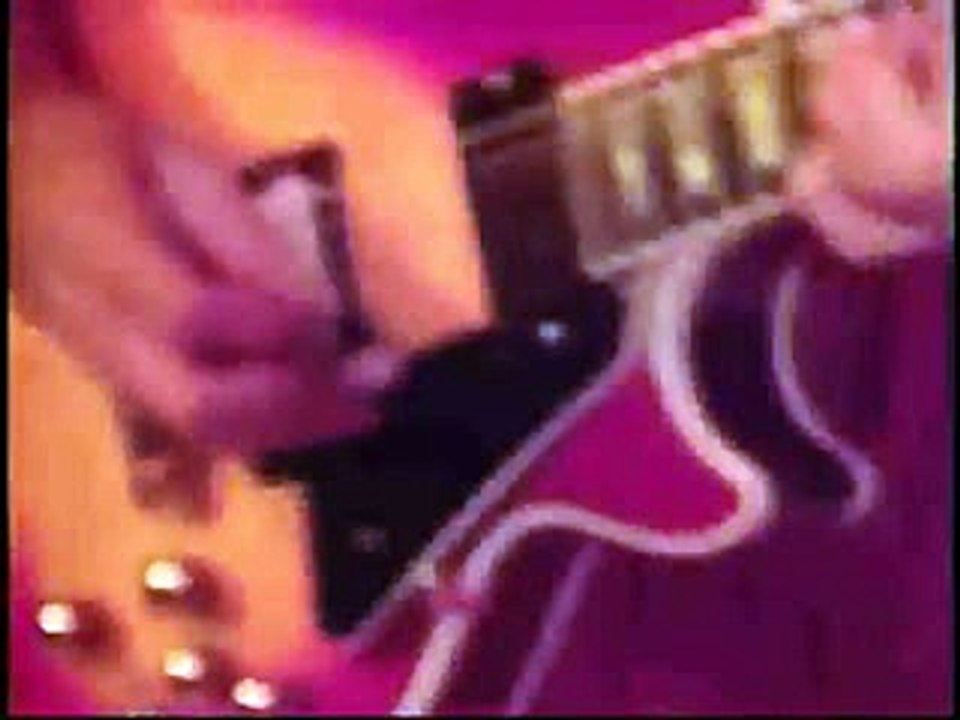 Frank Zappa - The Illinois Enema Bandit (Live In NYC, 1977)