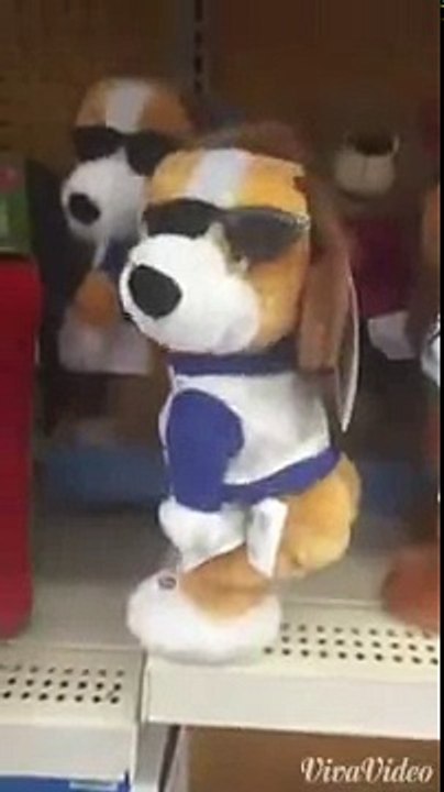 Cachorrim do funk