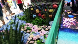 under the sea bellagio conservatory June 2016 4k