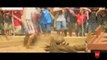 Biggest wild animal fights | Most Amazing Wild Animal Attacks #7 | When Animals Fight Back rhino