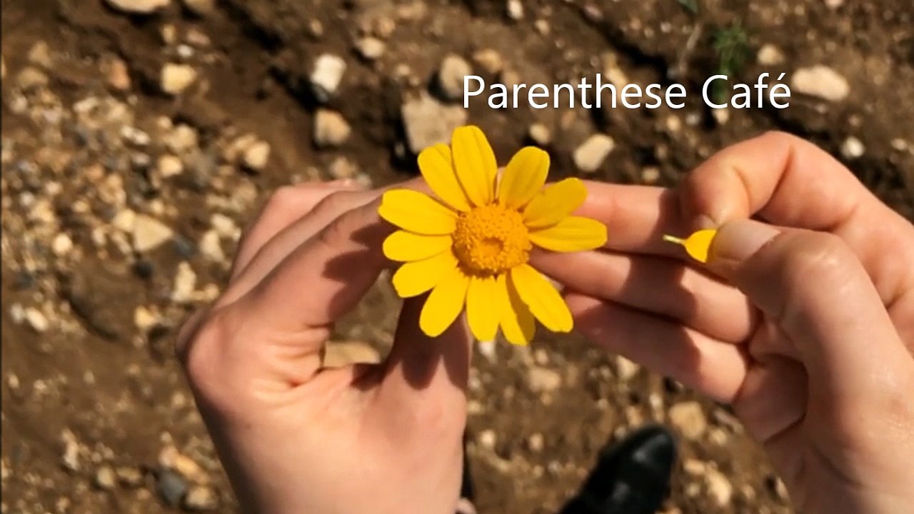 Fête des mères 2016 - Parenthese Café - Vente a domicile - Recrutement VDI