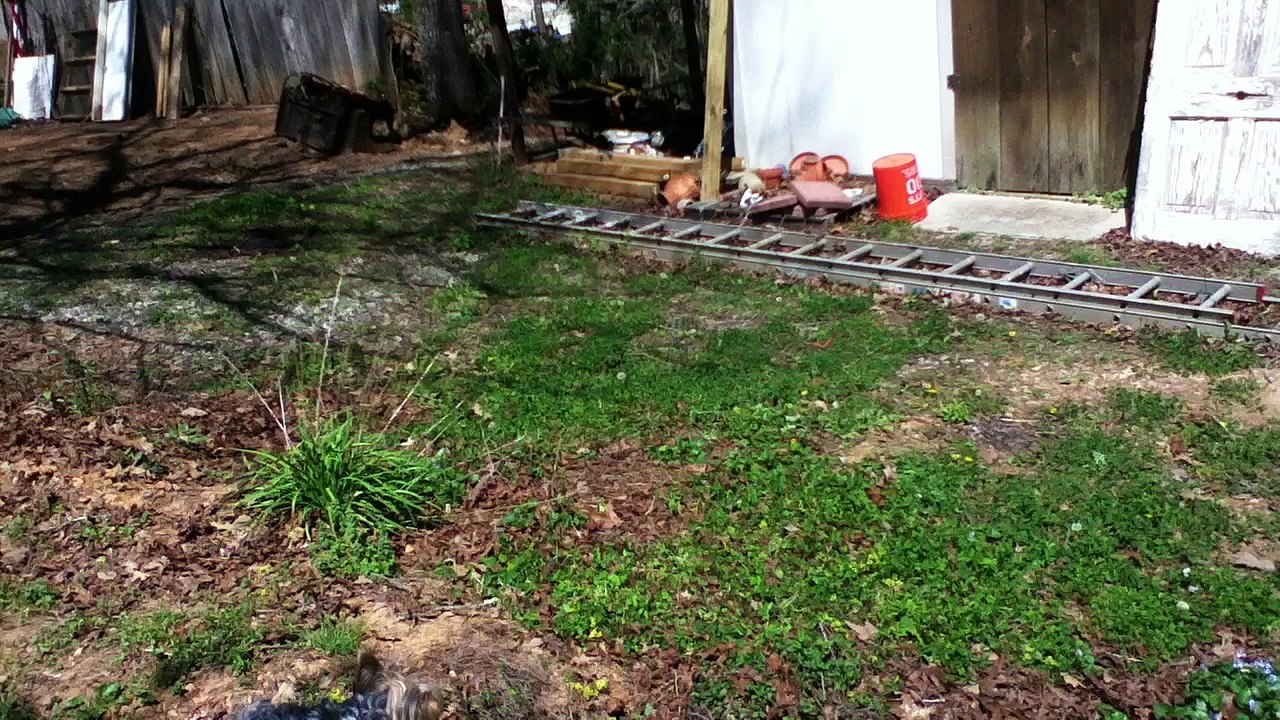 z57 presents when will the grass grow