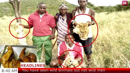A man KILLS a lion COOKS a lion & EATS a lion Graphic Content 18+