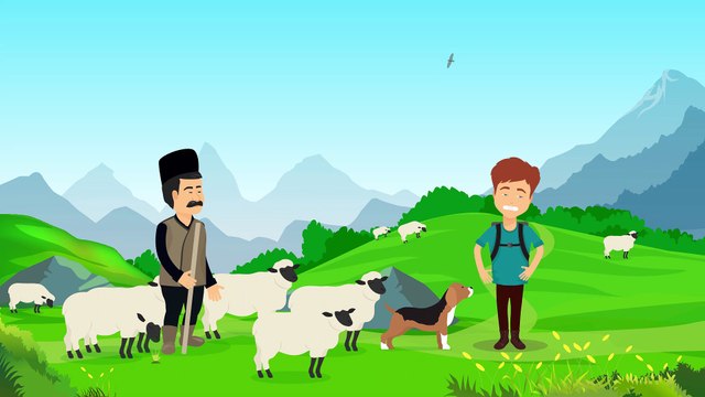 анимация на заказ анимация и мультипликация создание видеороликов