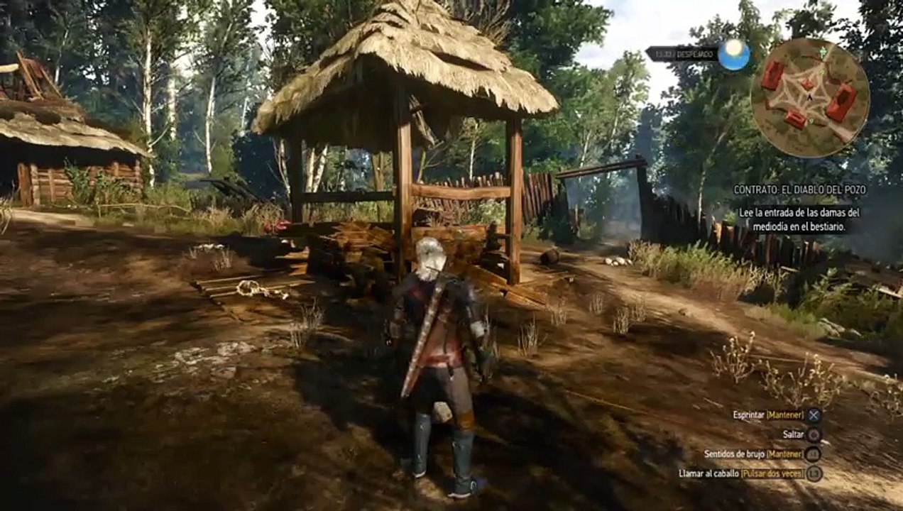 The Witcher3 (31)