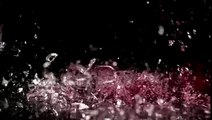 stock footage a glass of red wine falls in slow motion against a black background it shatters as it