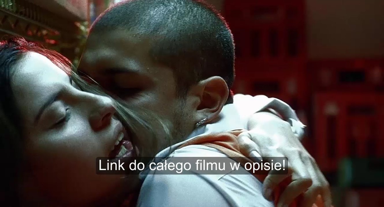 Amores perros Film LEKTOR PL