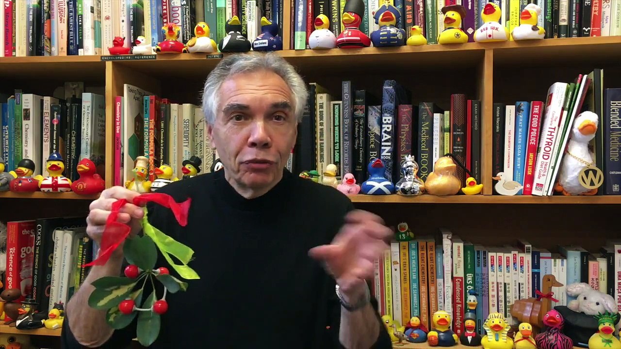 Mistletoe