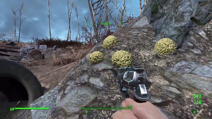 StoryTime In Fallout 4:Survival Mode: Ep.002: Friends?