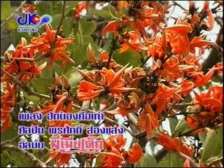 เพลง ฮักน้องคือเก่า - ศิลปิน พรศักดิ์ ส่องแสง - ชุด มีเมียเด็ก