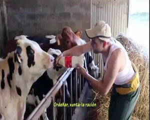 Paramo Pictures - Préndeme o Boi (Sueiro & Chis vs. Danny R. Video Edit)