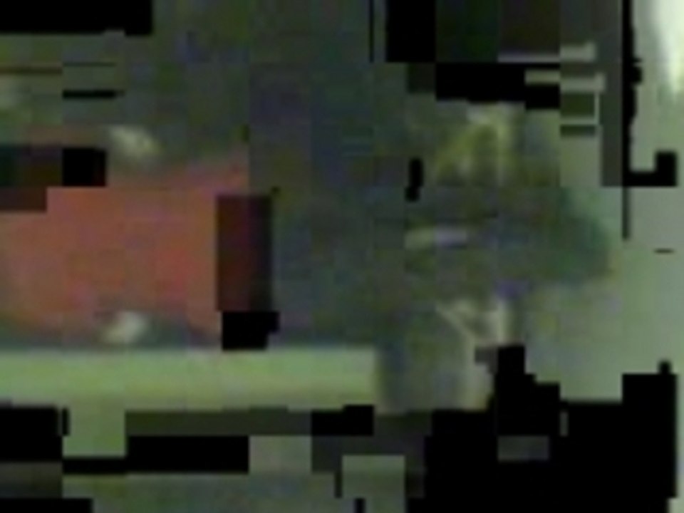 Dan
