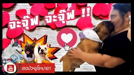 เชอบัว ยูโร มายา ตอนที่ 74  จะจุ๊ฟ จะจุ๊ฟ