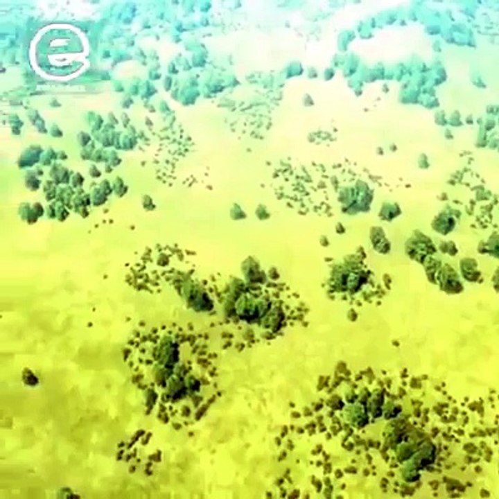 must see amazing video