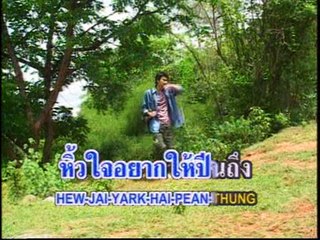 เพลง เดินดงหลงป่า - ศิลปิน  สายัณห์ สัญญา - ชุด เสียความรู้สึก