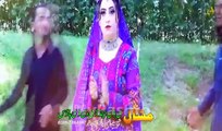 Yu Akhiri Deedan Me Oka Muskan Wafa -  Pashto Hits Vol 5