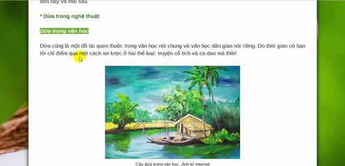 Thuyết về cây dừa (Bài viết sâu sắc và rõ ràng nhất về cây dừa)