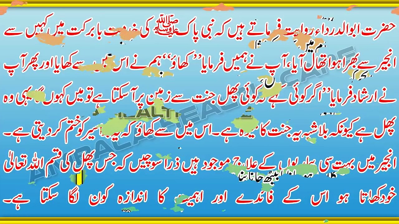 Anjeer Ke Faide In Urdu - Top 30 Best Health Benefits of Figs (Anjeer)