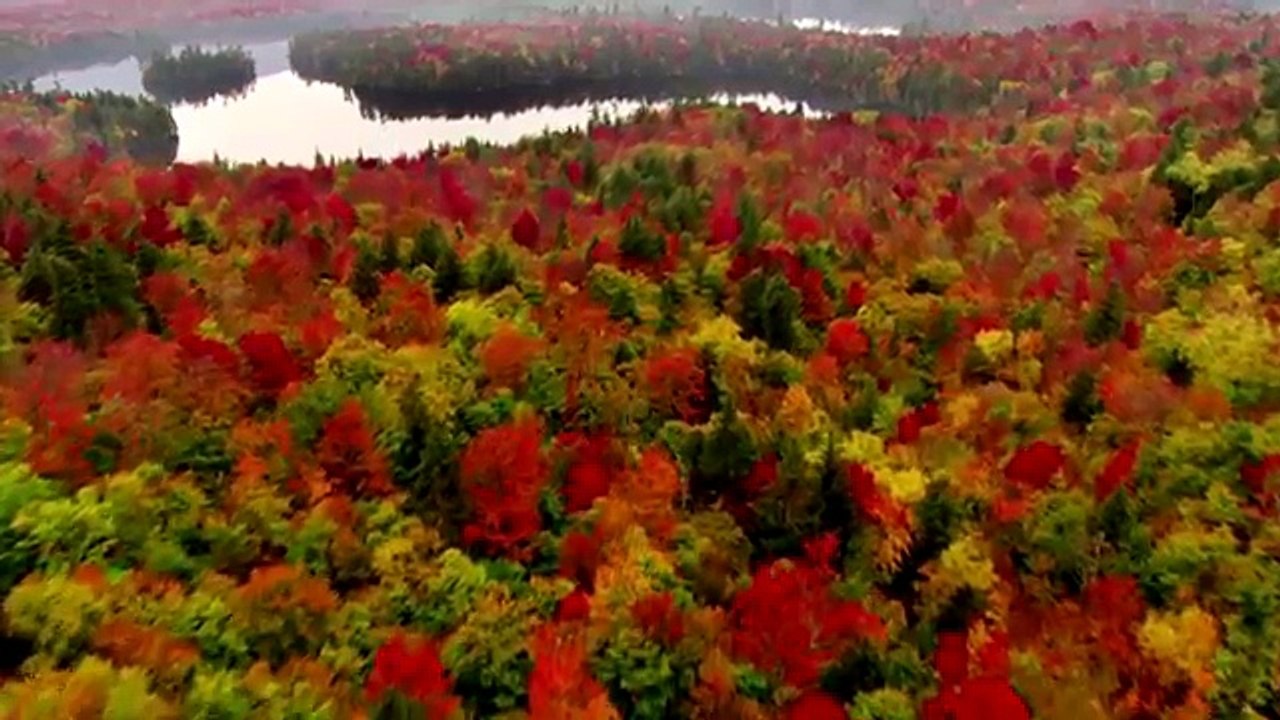 -Planet-Earth-Amazing-nature-scenery-1080p-HD