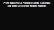 Read Prolyl Hydroxylase Protein Disulfide Isomerase and Other Structurally Related Proteins