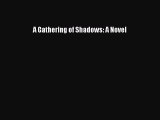 Read A Gathering of Shadows: A Novel Ebook Free