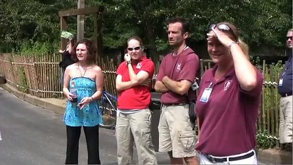 Una giraffa partorisce davanti a tutti e lascia stupefatto il pubblico!
