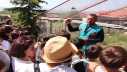 Burdur Tedavi Edilen 'Şahin'i Öğrenciler Doğaya Bıraktı