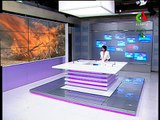 L'Algérie brûle et la part de hasard des incendies de forêt est négligeable