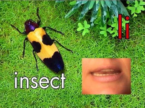 Learn ABC's with Nature - for babies, toddlers, infants & preschoolers - YouTube