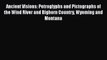 Download Books Ancient Visions: Petroglyphs and Pictographs of the Wind River and Bighorn Country