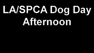LA/SPCA Dog Day Afternoon 2010