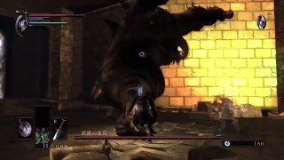 Demon's Souls PS4 - Here's me fighting the Vanguard