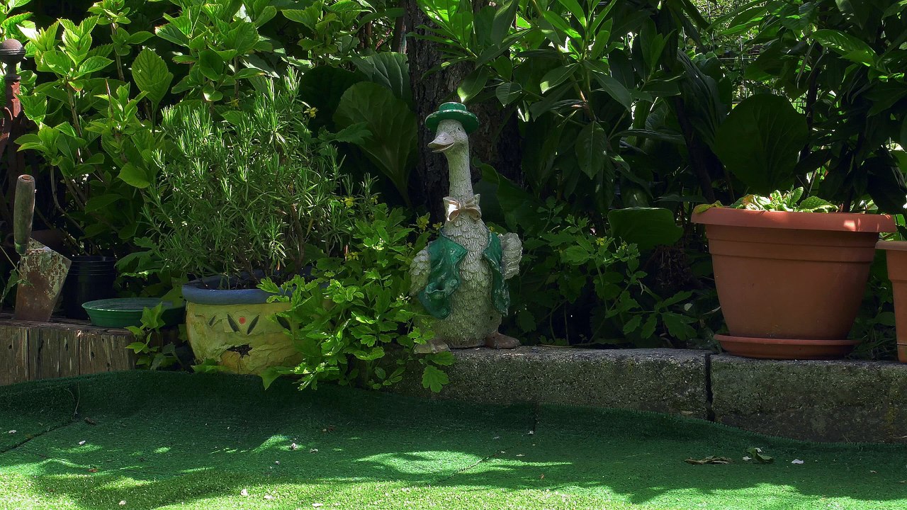 Garden in 4k
