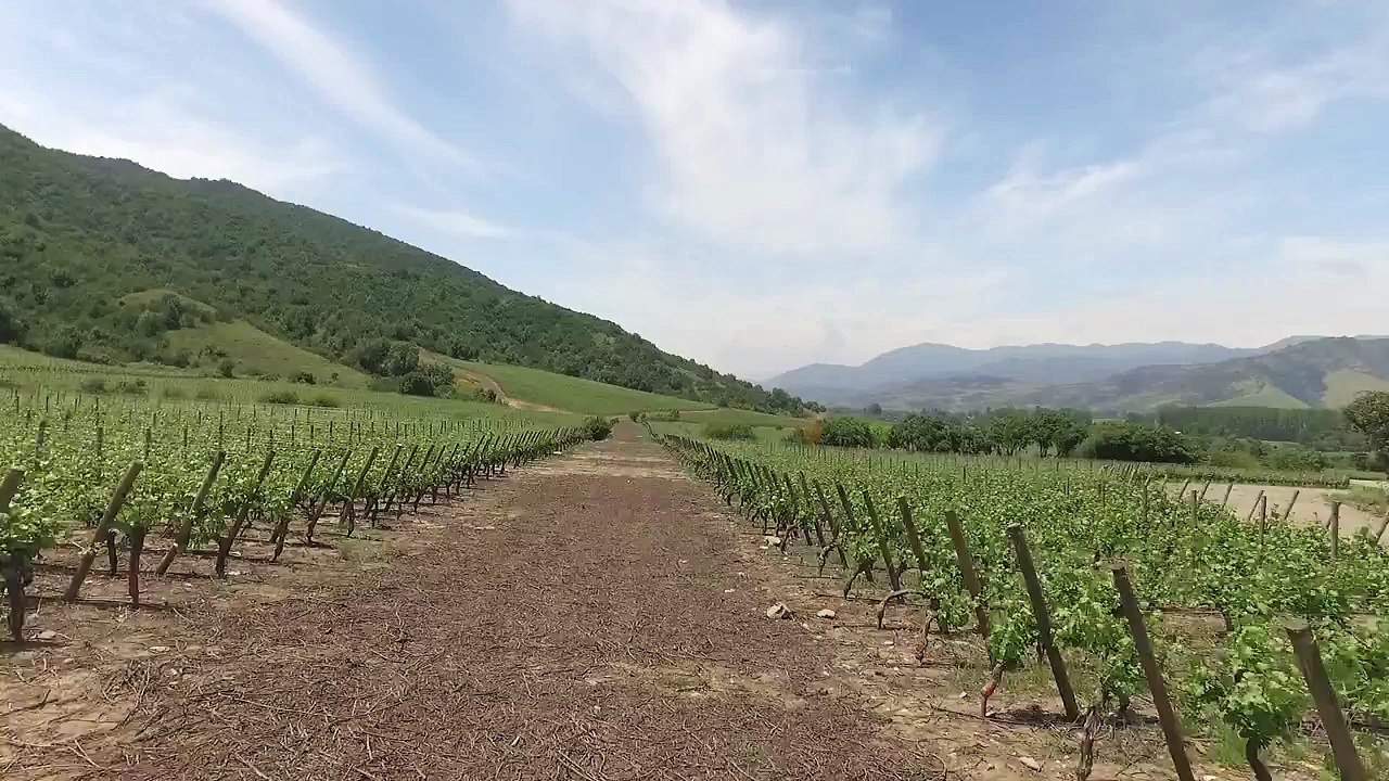 Chile Top Place