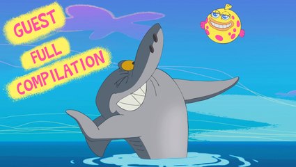 Zig & Sharko - Guest Compilation  _ HD
